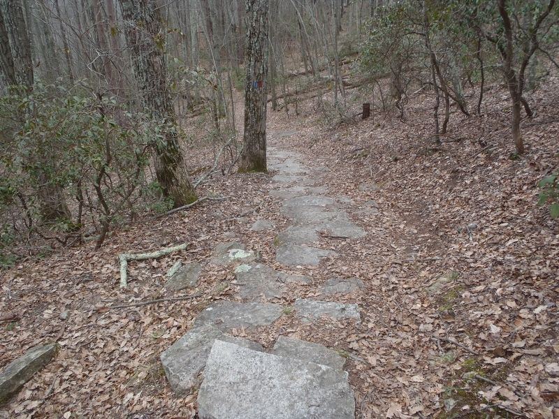 The 0.2 mile blue blazed trail to the Wolf Den. image. Click for full size.