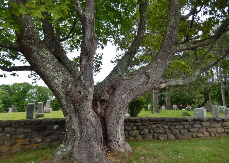 Old Center Cemetery / Site of the First Congregational Church. Click for full size. Old Center Cemetery / Site of the First Congregational Church image. Click for full size.