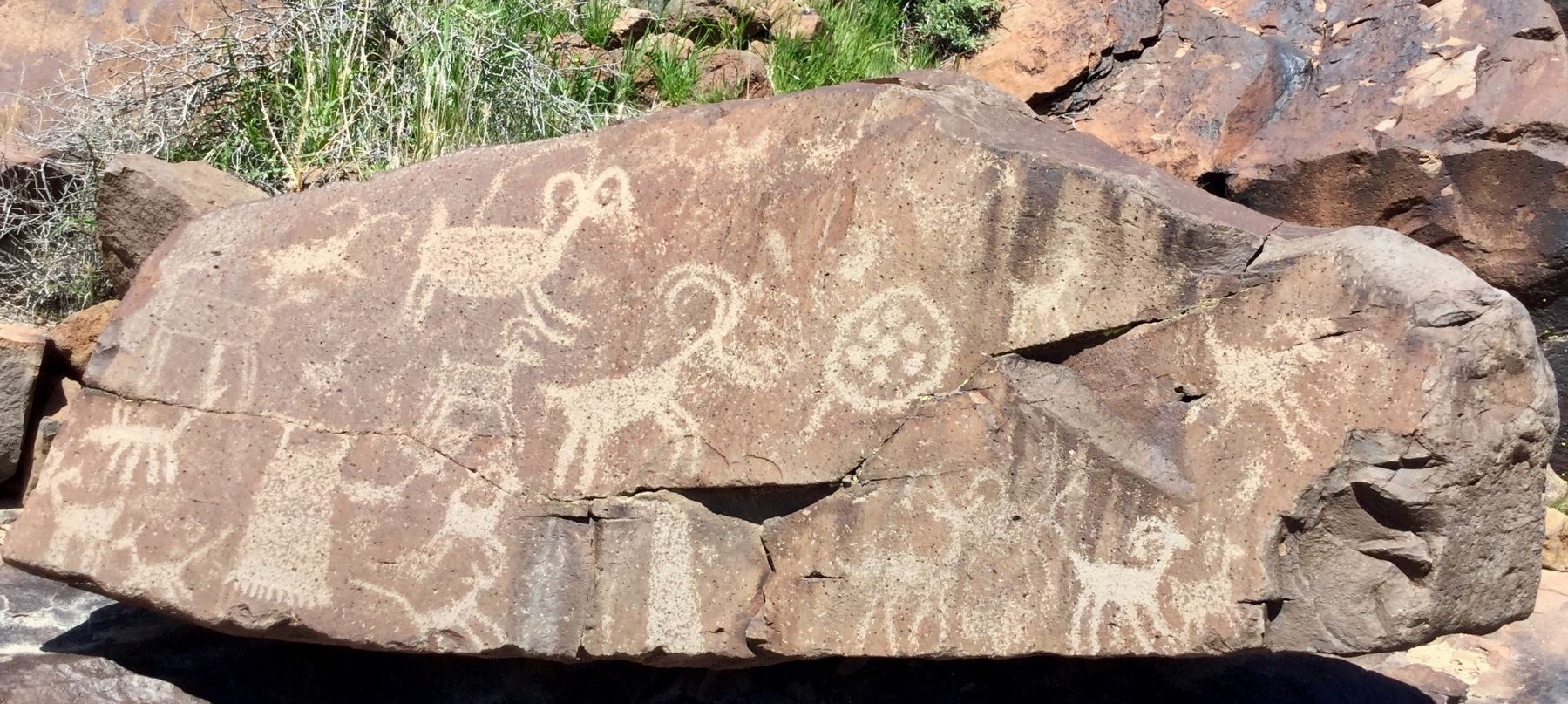 Coso Rock Art image. Click for full size.
