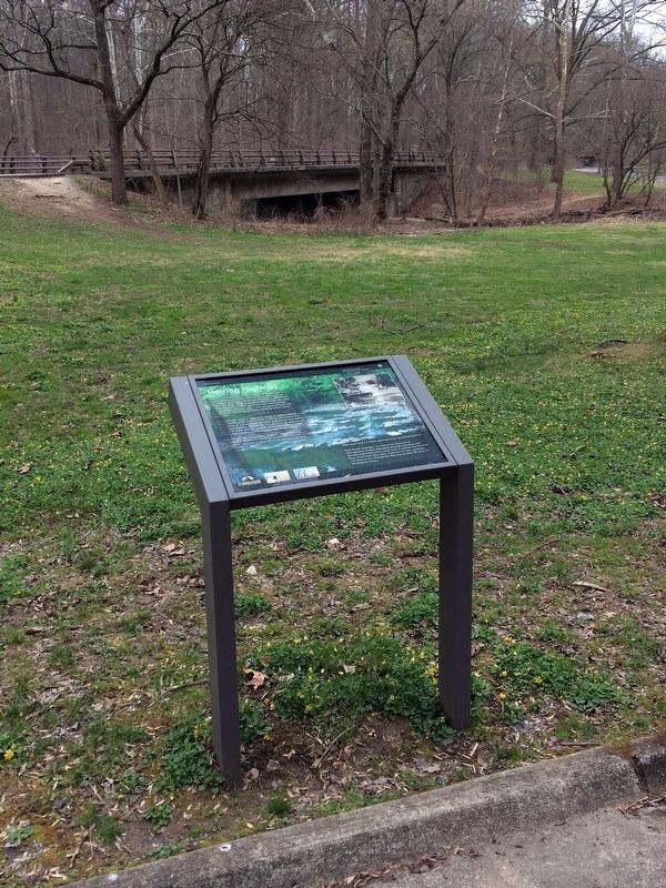 Herring Highway Marker. Click for full size. Herring Highway Marker image. Click for full size.