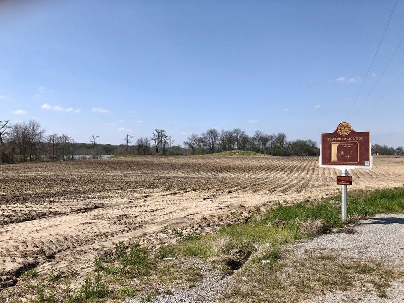 The two mounds can be seen in the distance. image. Click for full size.