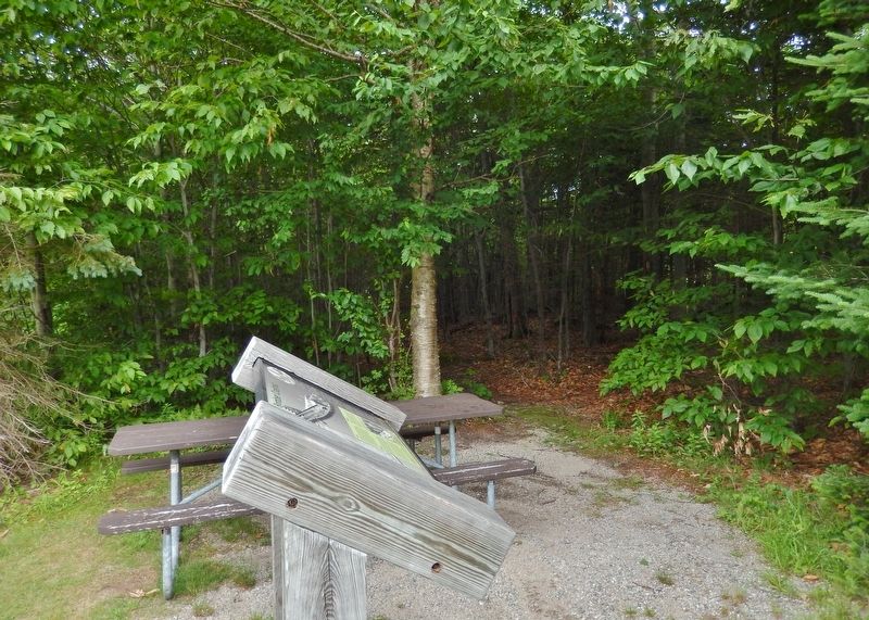 The Night the Bomber Crashed Marker (<i>side view; trail leads to crash site</i>). Click for full size. The Night the Bomber Crashed Marker (<i>side view; trail leads to crash site</i>) image. Click for full size.