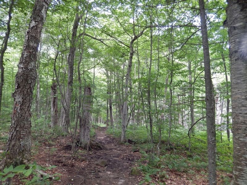 Bomber Crash Site Trail (<i>begins near marker</i>). Click for full size. Bomber Crash Site Trail (<i>begins near marker</i>) image. Click for full size.