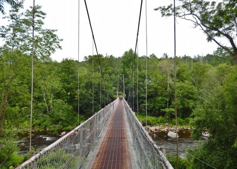 The Curran Suspension Bridge. Click for full size. The Curran Suspension Bridge image. Click for full size.