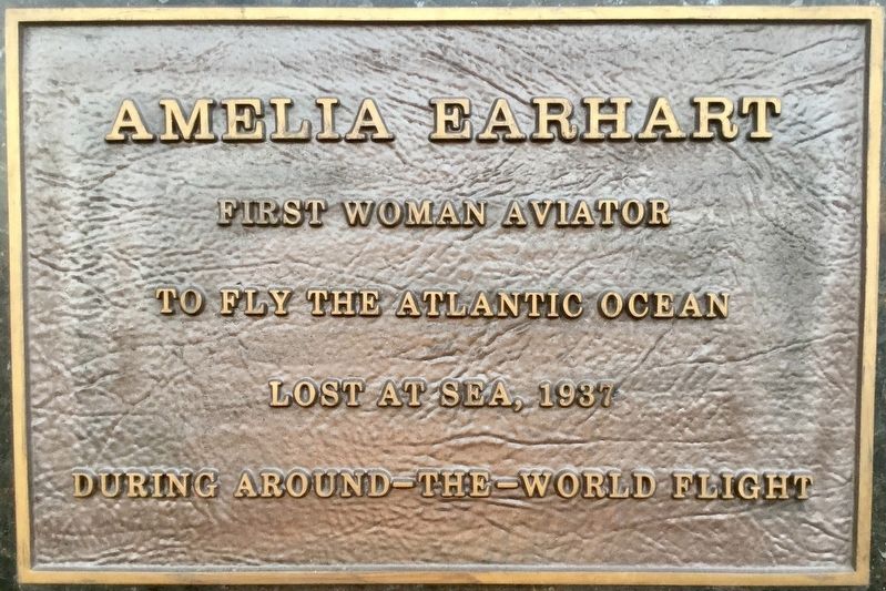 Amelia Earhart image. Click for full size.