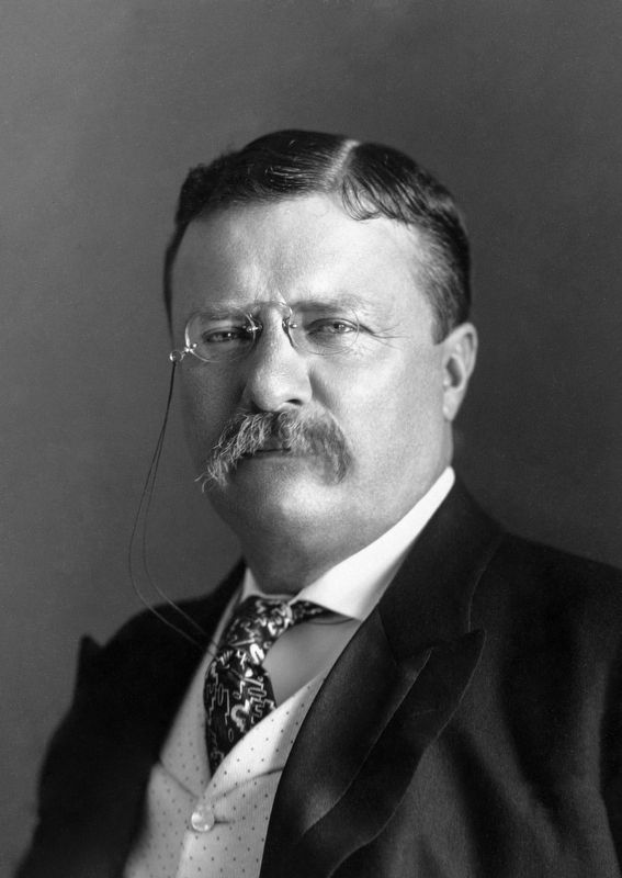 Theodore Roosevelt, a year before his visit. image. Click for full size.