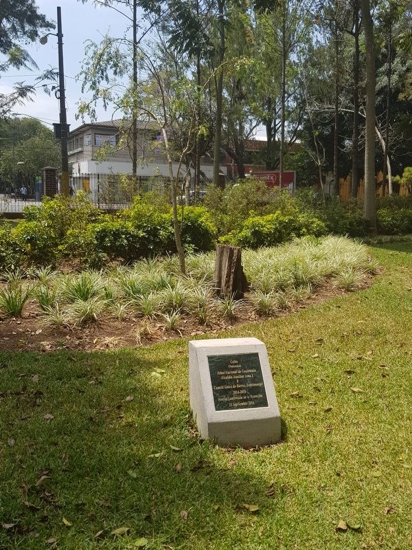 A nearby ceiba sapling and its marker in Jocotenango Park image. Click for full size.