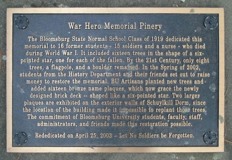 War Hero Memorial Pinery Marker image. Click for full size.