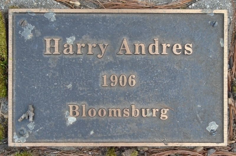 War Hero Memorial Pinery Andres Marker image. Click for full size.