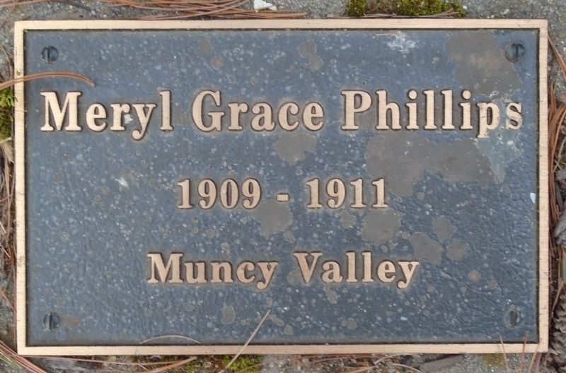 War Hero Memorial Pinery Phillips Marker image. Click for full size.