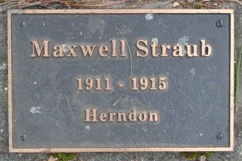 War Hero Memorial Pinery Straub Marker image. Click for full size.