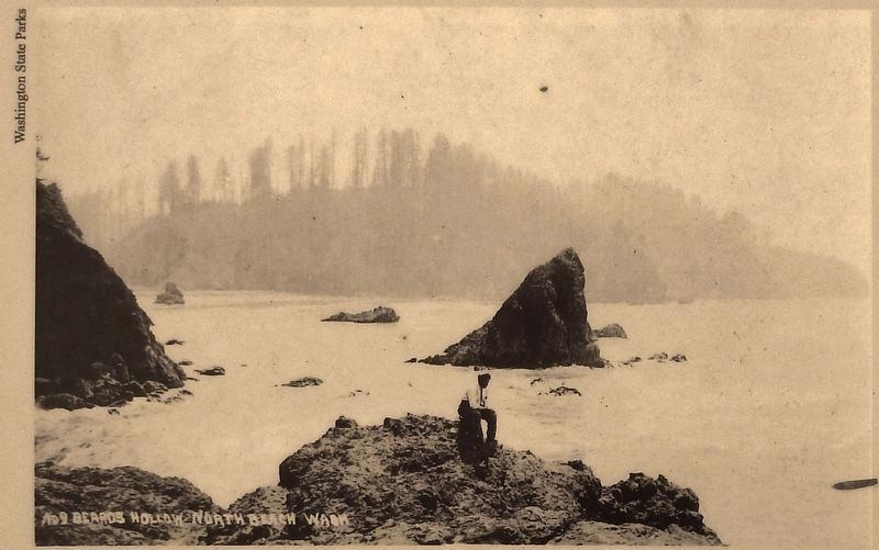 Marker detail: "Harp Rock" is directly below the overlook, surrounded by Alder and Spruce trees. image. Click for full size.