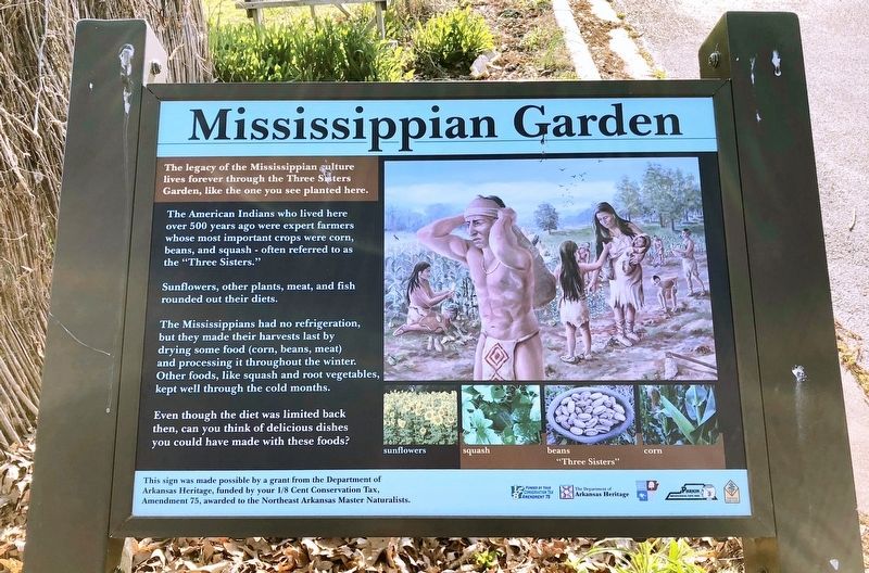 Mississippian Garden Marker. Click for full size. Mississippian Garden Marker image. Click for full size.