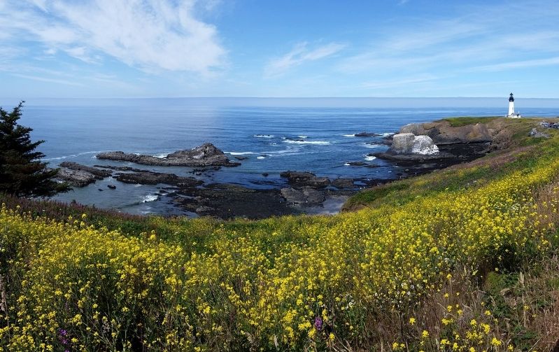 Yaquina Head and Cliff (<i>wide view</i>). Click for full size. Yaquina Head and Cliff (<i>wide view</i>) image. Click for full size.