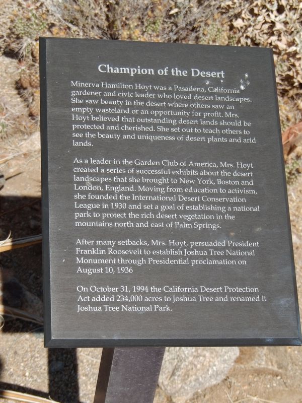 Champion of the Desert Marker. Click for full size. Champion of the Desert Marker image. Click for full size.
