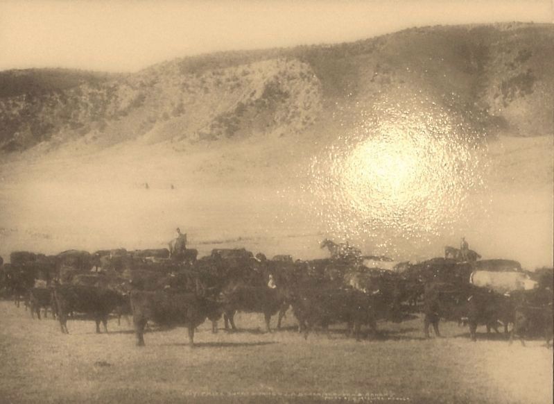 Marker detail: Cattle on the Range image. Click for full size.