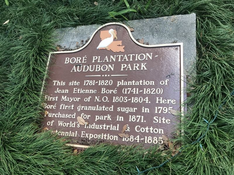 Bor Plantation - Audubon Park Marker image. Click for full size.