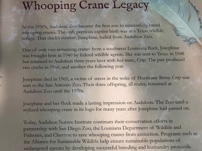 Audubon Zoo's Whooping Crane Legacy Marker image. Click for full size.