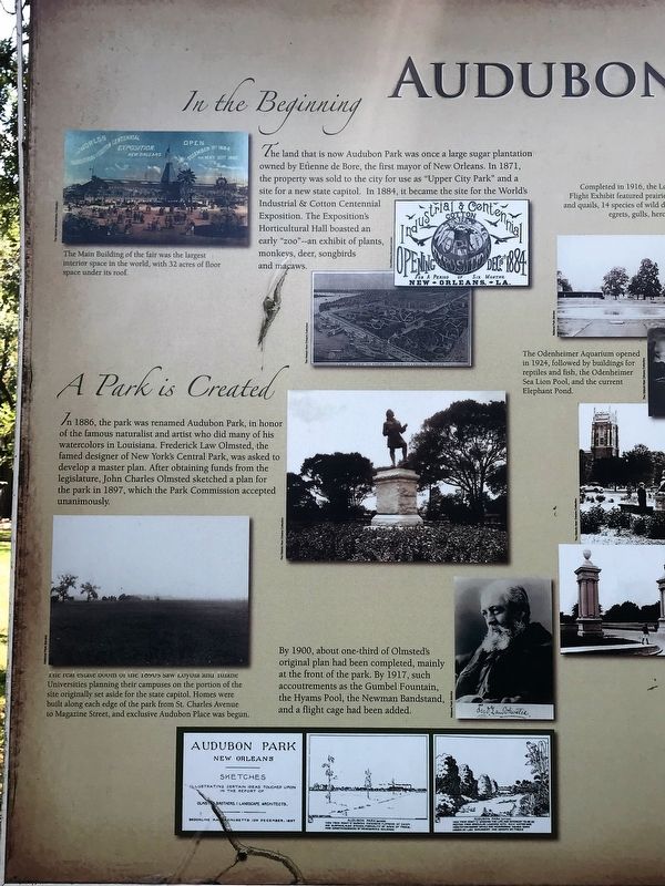 Audubon Zoo Marker. Click for full size. Audubon Zoo Marker image. Click for full size.