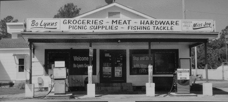 Marker detail: Bo Lynn's Grocery (<i>front view</i>) image. Click for full size.