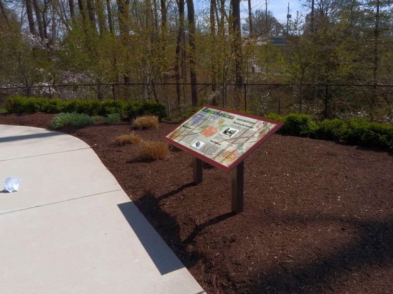 Dr. John H. Bayne of Salubria “Prince of Horticulture” Marker. Click for full size. Dr. John H. Bayne of Salubria “Prince of Horticulture” Marker image. Click for full size.