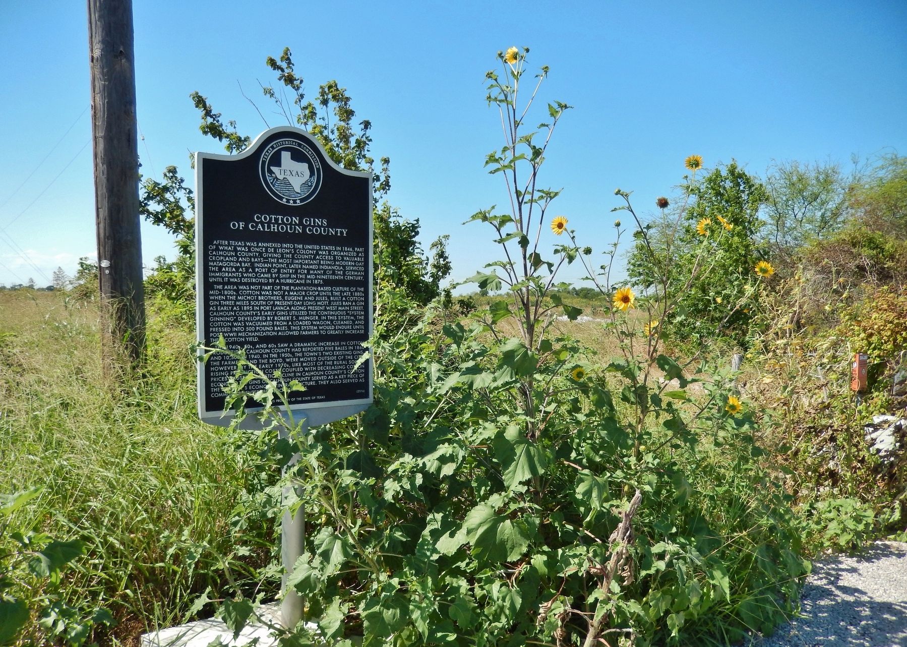 Cotton Gins of Calhoun County Marker (<i>wide view to east</i>) image. Click for full size.