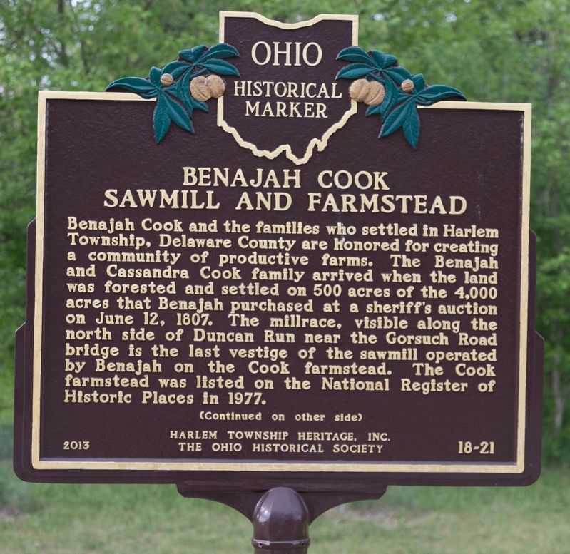Benajah Cook Sawmill and Farmstead Marker, Side 1 image. Click for full size.