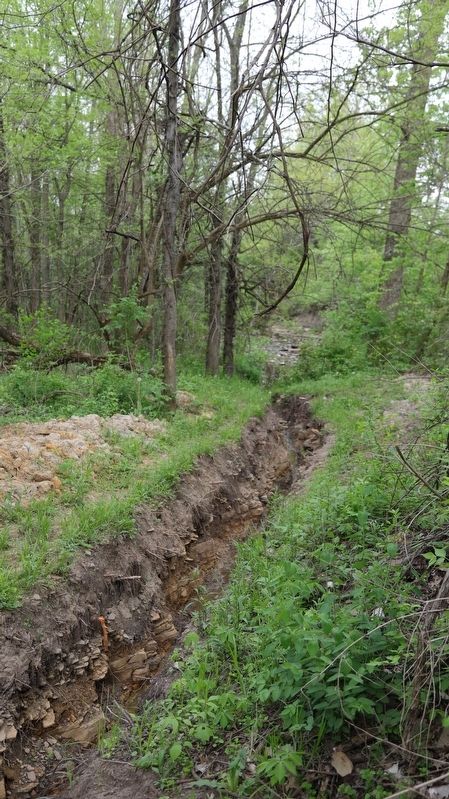 A Portion of the Millrace Excavation. Click for full size. A Portion of the Millrace Excavation image. Click for full size.