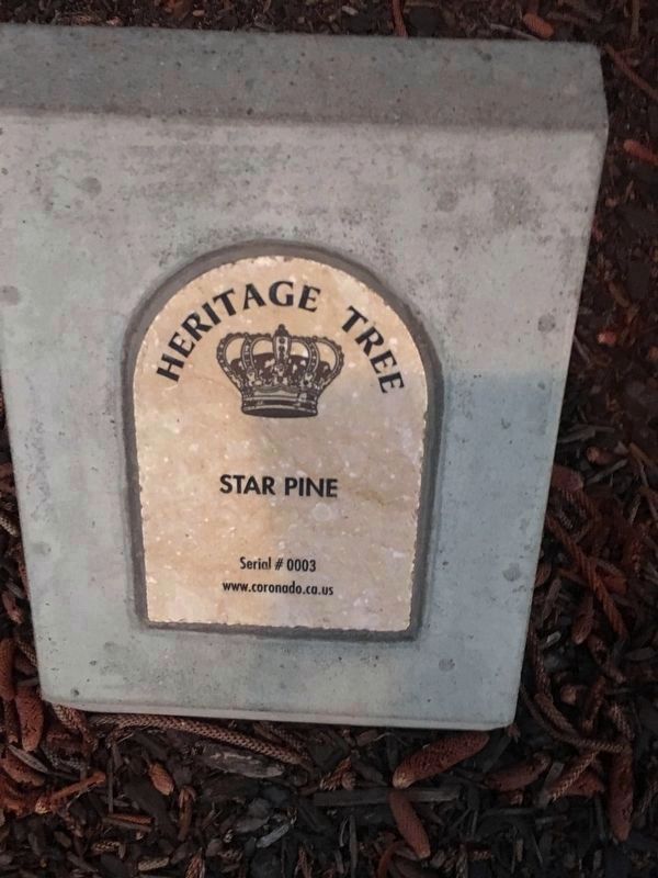 Coronado Heritage Tree plaque is next to the Coronado Rotary Club Christmas Tree Marker. image. Click for full size.