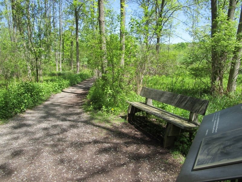 The Sacred Grove Marker. Click for full size. The Sacred Grove Marker image. Click for full size.