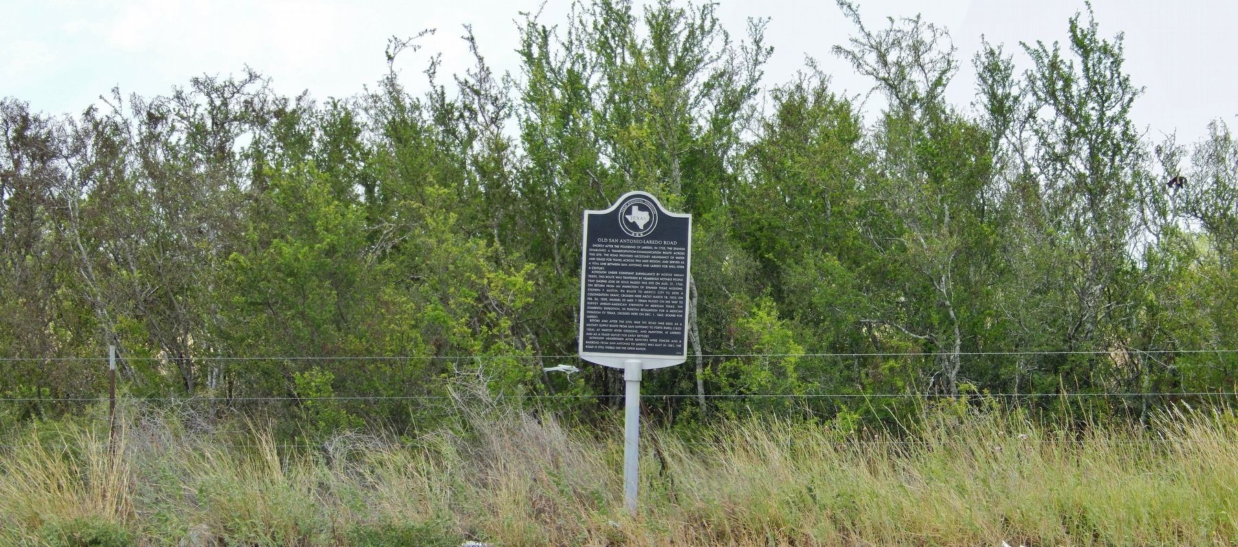 Old San Antonio-Laredo Road Marker (<i>wide view</i>) image. Click for full size.
