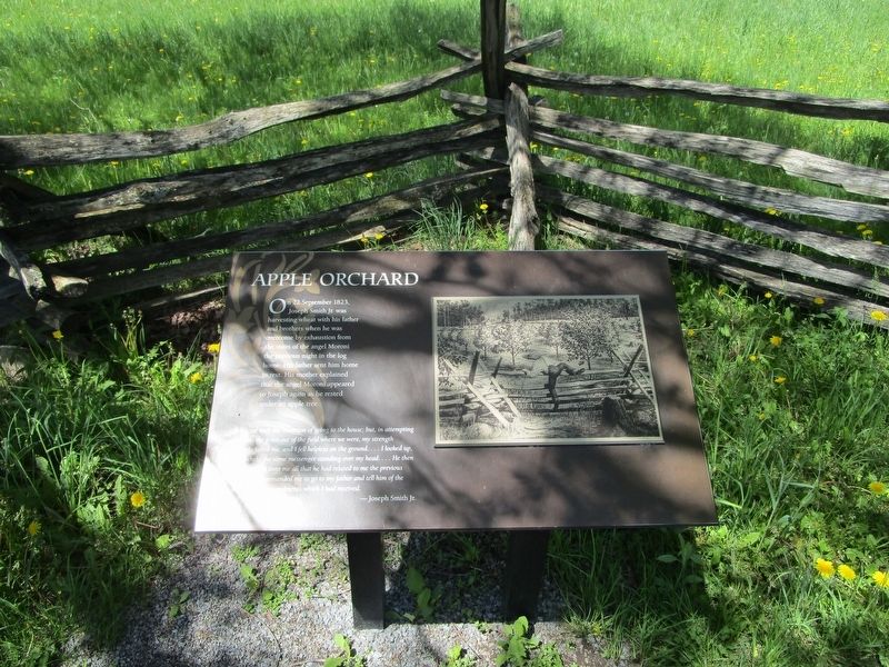 Apple Orchard Marker image. Click for full size.