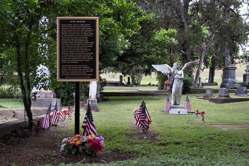 War Babies Gravesite image. Click for full size.
