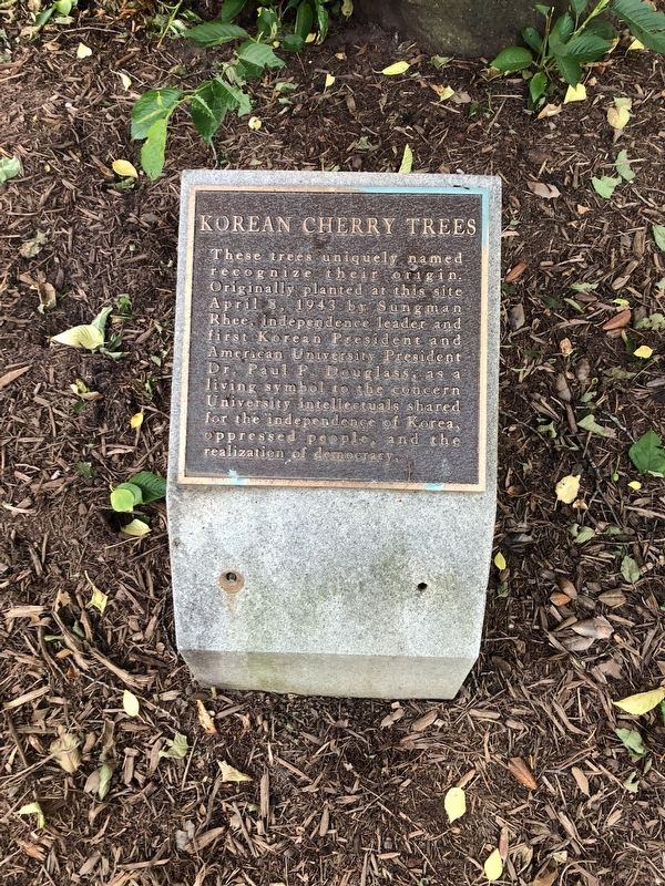 Korean Cherry Trees Marker. Click for full size. Korean Cherry Trees Marker image. Click for full size.