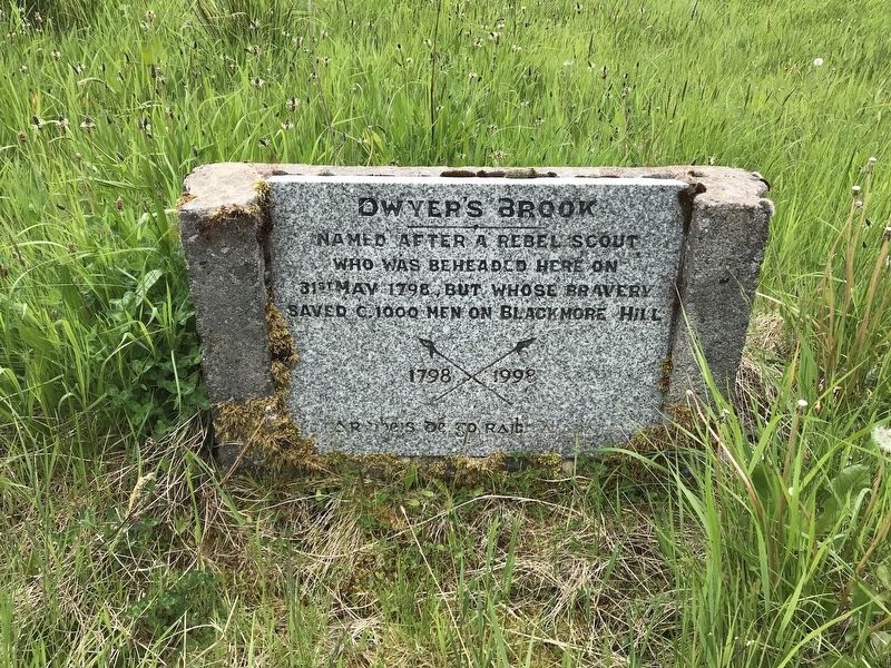 Dwyer's Brook Marker image. Click for full size.