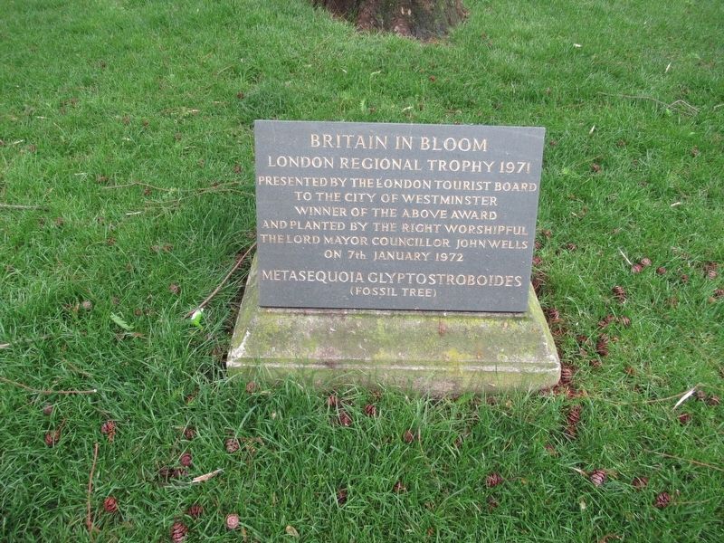 Britain In Bloom Marker image. Click for full size.