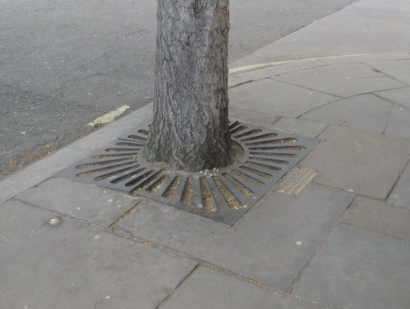 Westminster Tree Trust Marker. Click for full size. Westminster Tree Trust Marker image. Click for full size.