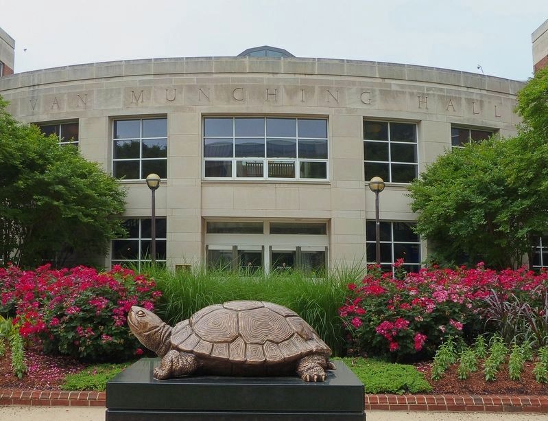 Testudo<br>at Van Munching Hall image. Click for full size.