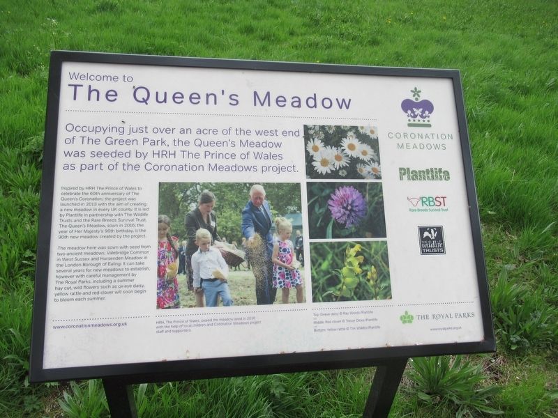 The Queen’s Meadow Marker image. Click for full size.