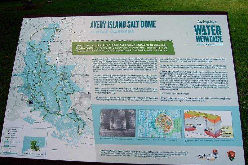 Avery Island Salt Dome Marker image. Click for full size.
