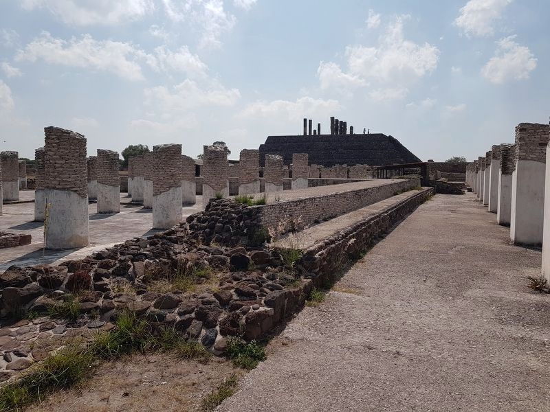 The Burnt Palace, seen towards the east image. Click for full size.