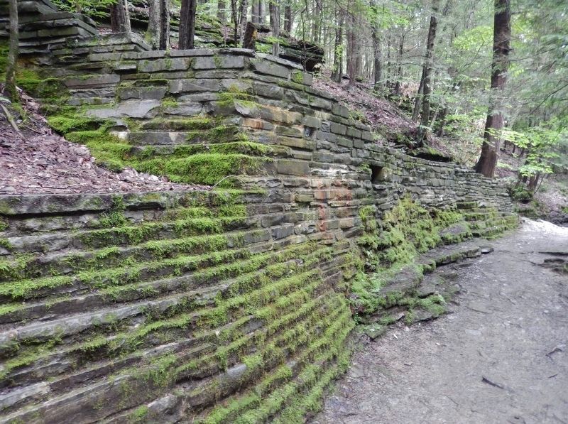 Gorge Retaining Wall (<i>C.C.C. stonework at Buttermilk Falls State Park</i>) image. Click for full size.