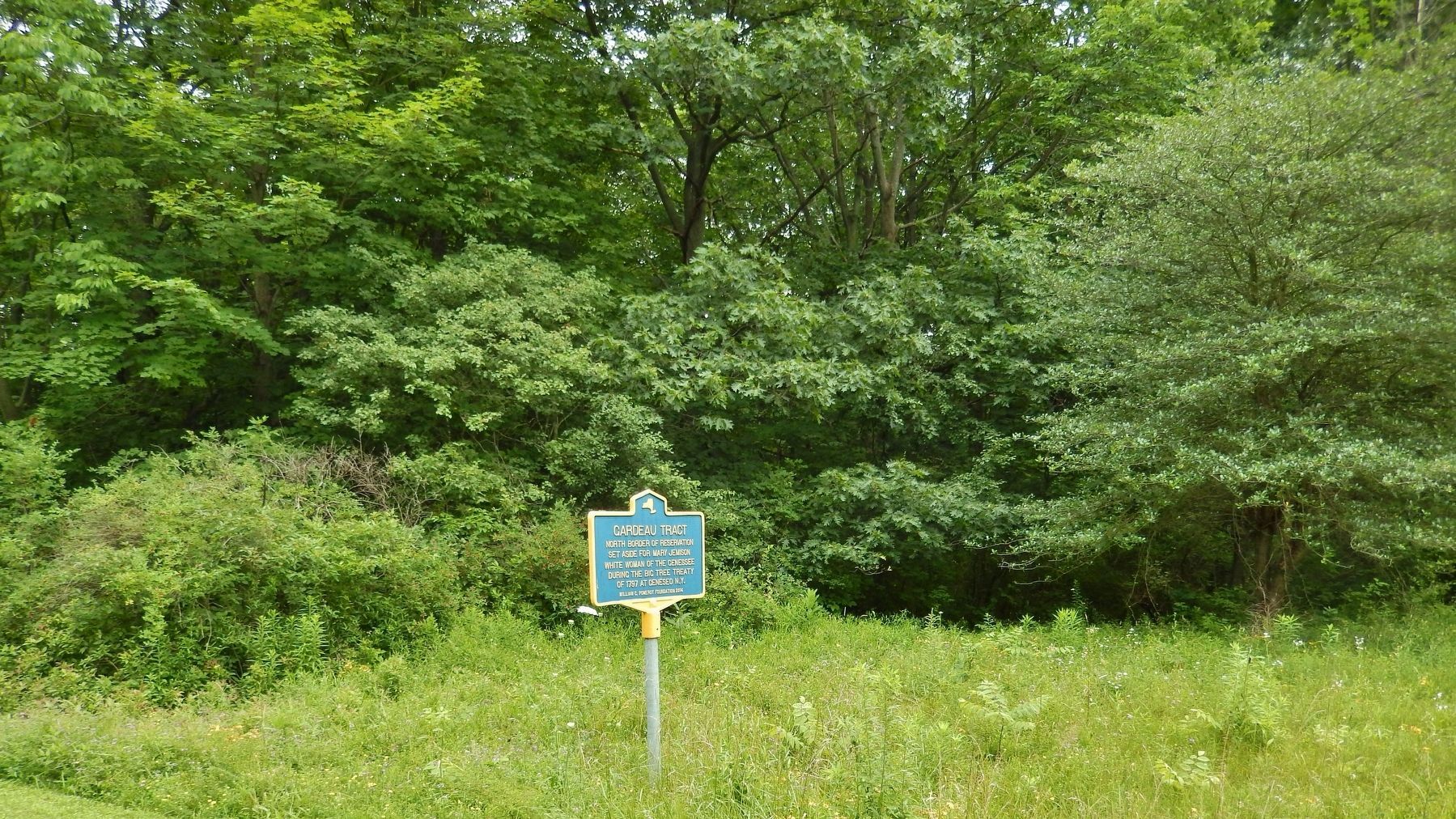Gardeau Tract (North Border) Marker (<i>wide view</i>). Click for full size. Gardeau Tract (North Border) Marker (<i>wide view</i>) image. Click for full size.
