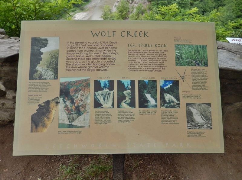 Wolf Creek Marker (<i>wide view</i>) image. Click for full size.