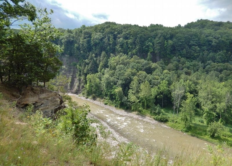 Genesee River Canyon (<i>view north from marker</i>) image. Click for full size.
