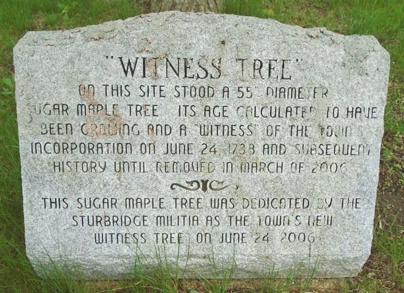 "Witness Tree" Marker image. Click for full size.