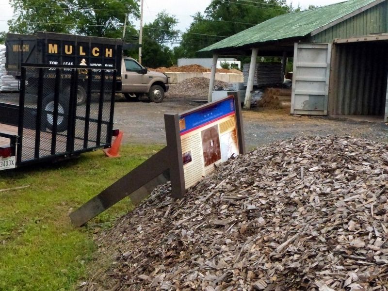 On the Mulch Heap. Click for full size. On the Mulch Heap image. Click for full size.