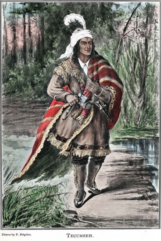 Tecumseh image. Click for full size.