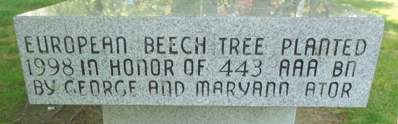 443rd Anti-Aircraft Artillery Battalion Memorial Tree Dedication image. Click for full size.