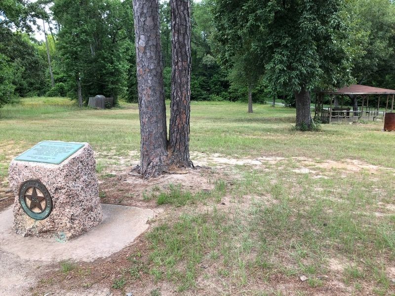 San Jacinto County Marker image. Click for full size.